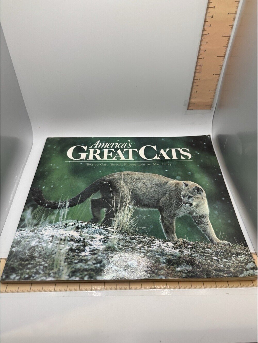 Western Horizons Bks.: America's Great Cats - Gary Turbak (1991 Paperback)